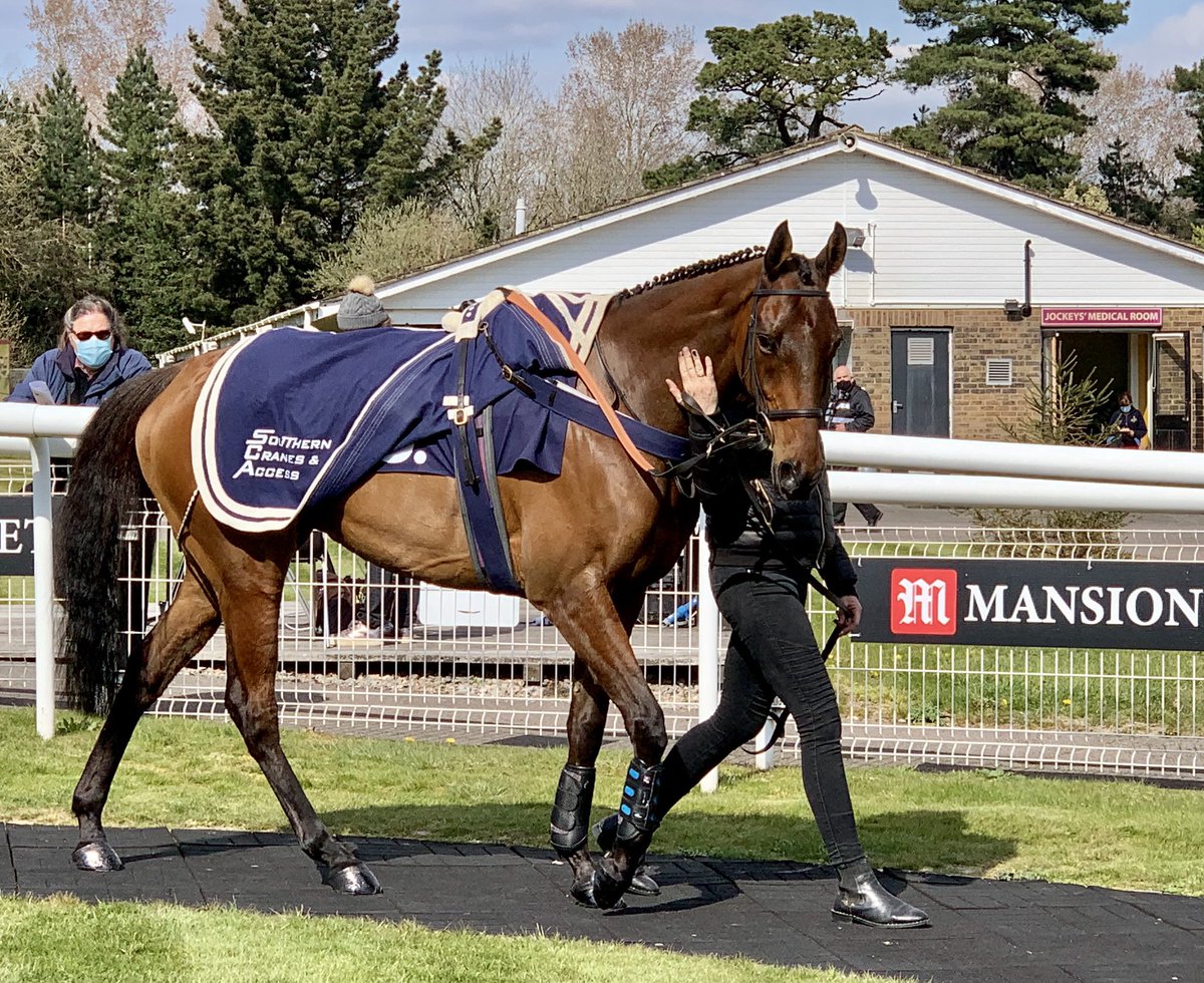 Soarlikeaneagle won the 3.35 Handicap Hurdle on Friday . I am so pleased for this horse , as I’ve always thought he needed good fast ground &amp; the last two seasons have been very wet .Therefore he has had very few opportunities . He was given a great ride by James Davies .