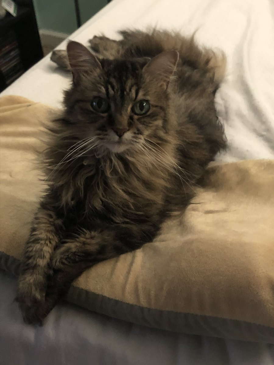 student of nature tweet media