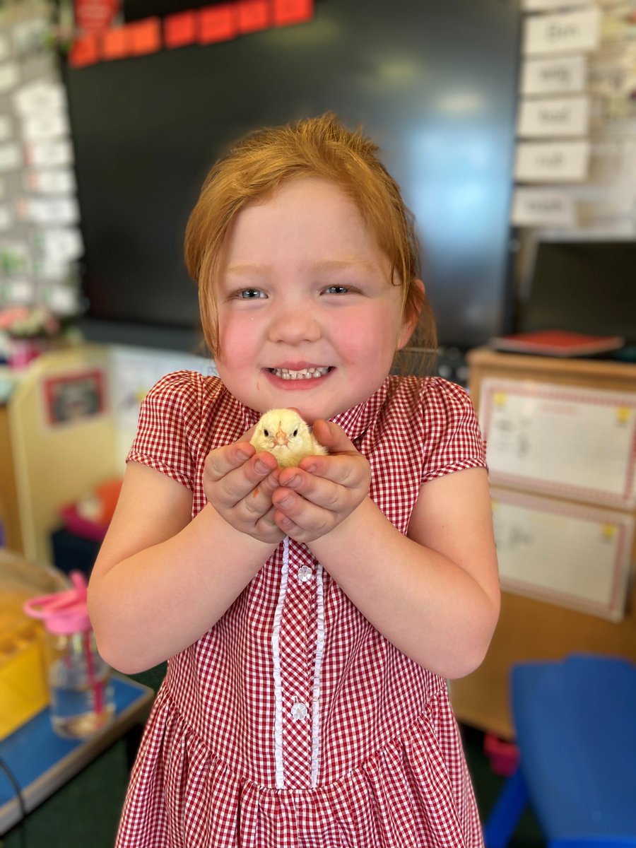Apple Class enjoyed having some visitors today! 🐣