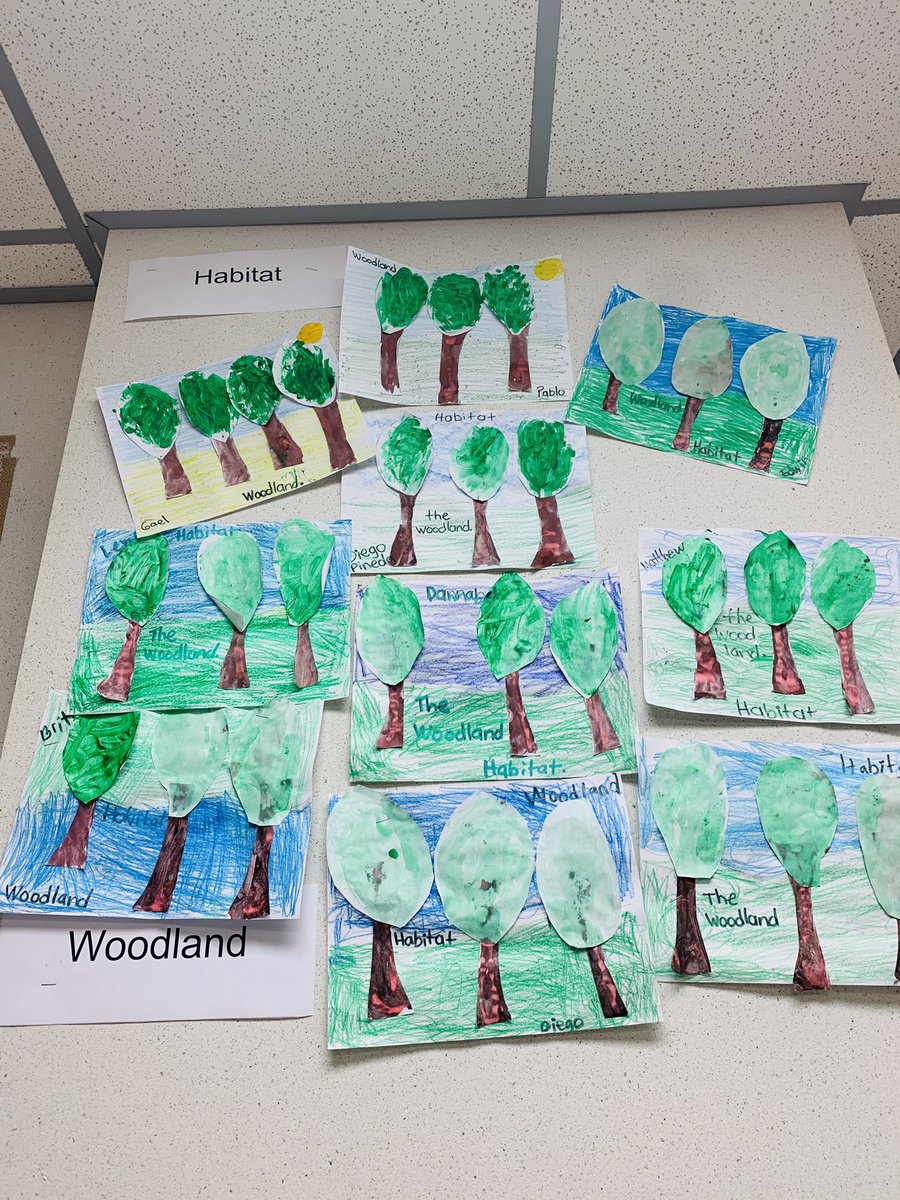anitaperezABC's tweet photo. Love to hear our SLA lightning bug using the CKLA vocabulary to describe the diferente habitats we been learning about! #StrongerTogetherAtGL @GarciaLeza_AISD @PattyWillis1 @SarahSutter8 @shinebrightPat @patriciarod19 @BarrsJamie @edwards_demedia @JacquieKortz https://t.co/BhFSpR173e