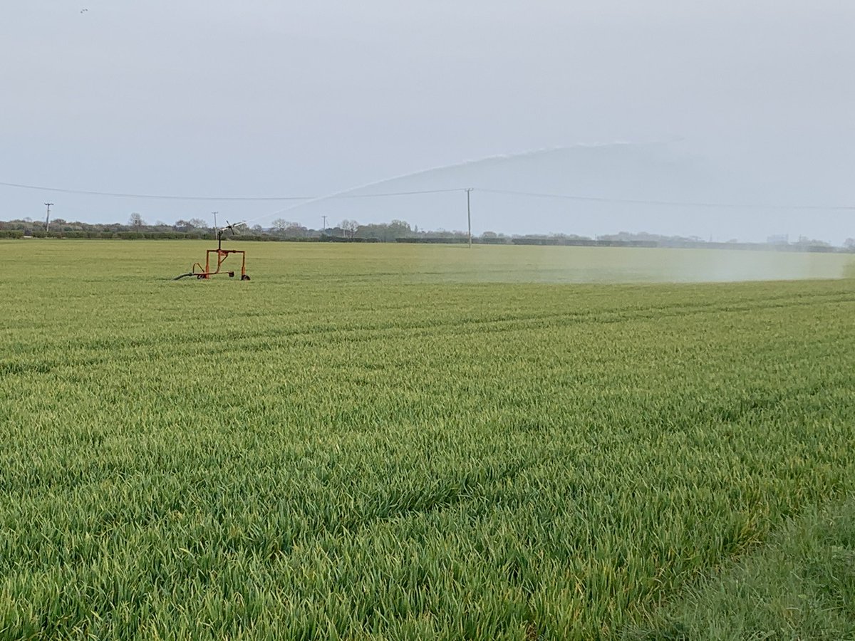NFUNotts's tweet photo. It’s dry here in Nottinghamshire, I wonder how many more #NottsFarmers are wishing they could irritate their Wheat? https://t.co/THqCGH2wvR