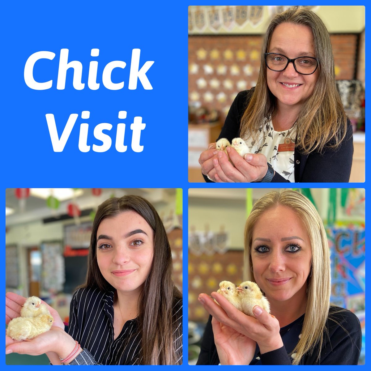 Apple Class enjoyed having some visitors today! 🐣