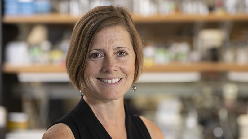 IS-MPMI (@ismpmi) on Twitter photo Read IS-MPMI President Mary Beth Mudgett's Remarks for the 2021 IS-MPMI Congress eSymposia Series. ismpmi.org/Events/2021Con…
#2021ISMPMI #STEM #Science #sciencetwitter <a href="/ismpmiconnect/">IS-MPMIConnect</a> <a href="/MPMIjournal/">MPMI Journal</a> Read IS-MPMI President Mary Beth Mudgett's Remarks for the 2021 IS-MPMI Congress eSymposia Series. ismpmi.org/Events/2021Con…
#2021ISMPMI #STEM #Science #sciencetwitter <a href="/ismpmiconnect/">IS-MPMIConnect</a> <a href="/MPMIjournal/">MPMI Journal</a>