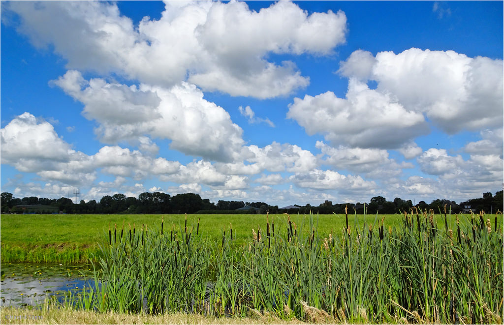 IAPP (@the_iapp) on Twitter photo "Bringing privacy to an organization ‘that’s literally saving the planet’" (via <a href="/Jenn_Bryant1008/">Jennifer Bryant</a>) ow.ly/p6ak50EsvJV "Bringing privacy to an organization ‘that’s literally saving the planet’" (via <a href="/Jenn_Bryant1008/">Jennifer Bryant</a>) ow.ly/p6ak50EsvJV