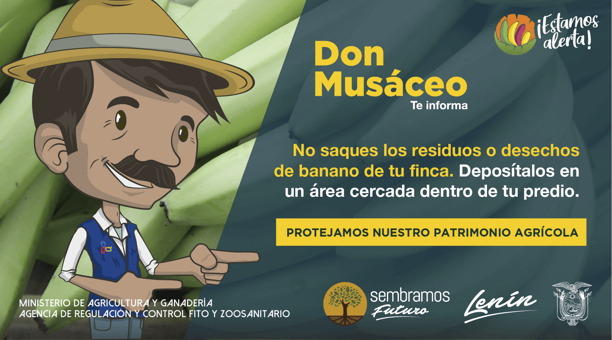 AgrocalidadZ5's tweet photo. #EstamosAlerta | No movilices los desechos vegetales que se generan en tu finca o sitio de producción, deposítalos en un área cercada específica. No los tires en los drenajes, canales de riego o en la carretera. 
#EcuadorSinFocR4T🇪🇨 https://t.co/IBoiGfJEXQ