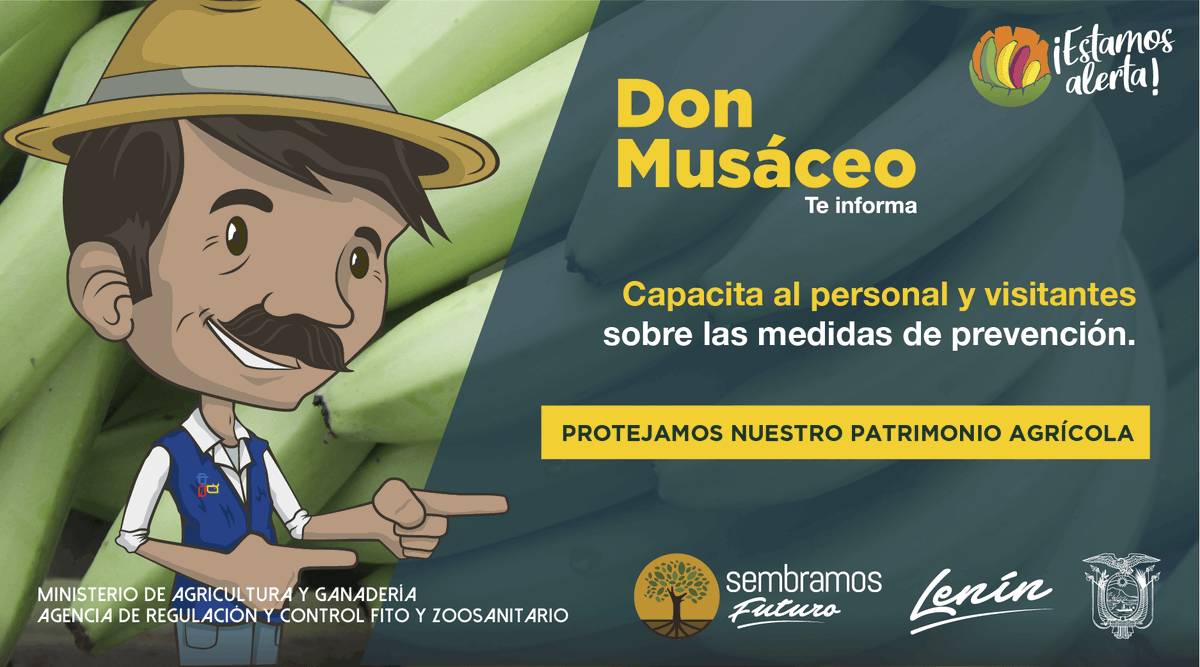 AgrocalidadZ5's tweet photo. #EstamosAlerta | Es responsabilidad de todos evitar el ingreso de Foc R4T. Capacita constantemente a tu personal e informa a los visitantes sobre las medidas de bioseguridad. Nadie cuida tu finca mejor que tú.

#EcuadorSinFocR4T🇪🇨 https://t.co/3EAWQ7XCbZ