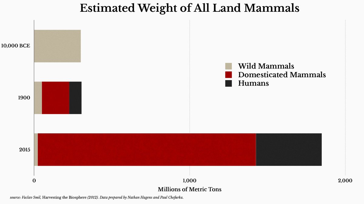 retroprogress's tweet image. Progress is also this 👇
#RetroProgress