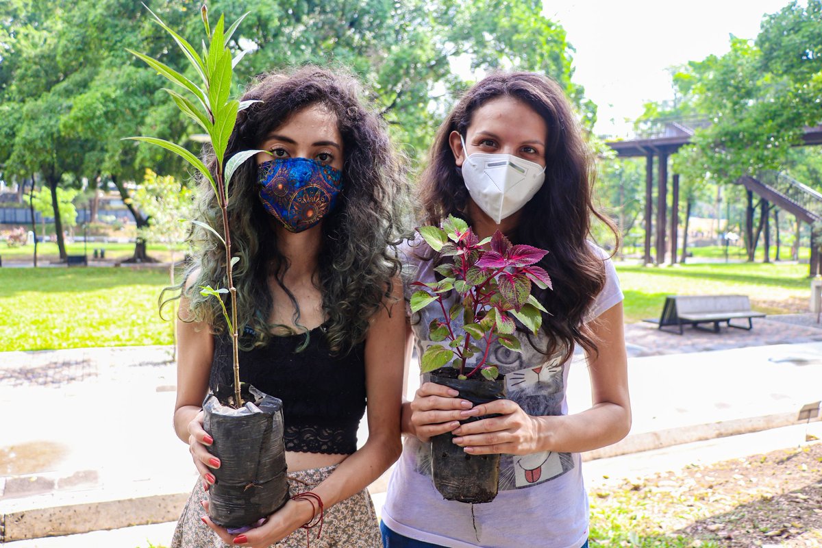 alcaldia_ss's tweet photo. 🌱 | Desde nuestra Dirección de @DSASanSalvador1 hoy entregamos árboles y plantas a los visitantes que llegaron al @ParqueCuscatlan. ¡Cuidemos de nuestro medio ambiente! #SSesTuyo https://t.co/peDsCEhQbq