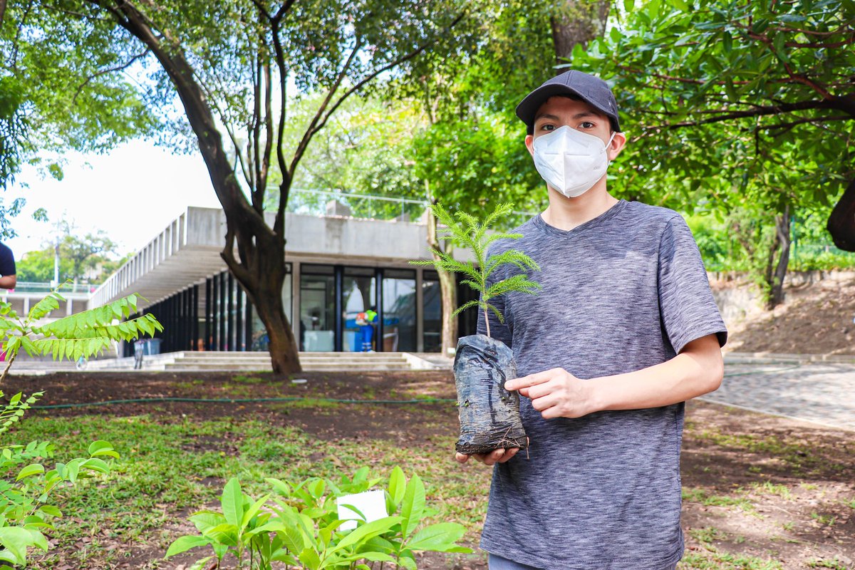 alcaldia_ss's tweet photo. 🌱 | Desde nuestra Dirección de @DSASanSalvador1 hoy entregamos árboles y plantas a los visitantes que llegaron al @ParqueCuscatlan. ¡Cuidemos de nuestro medio ambiente! #SSesTuyo https://t.co/peDsCEhQbq