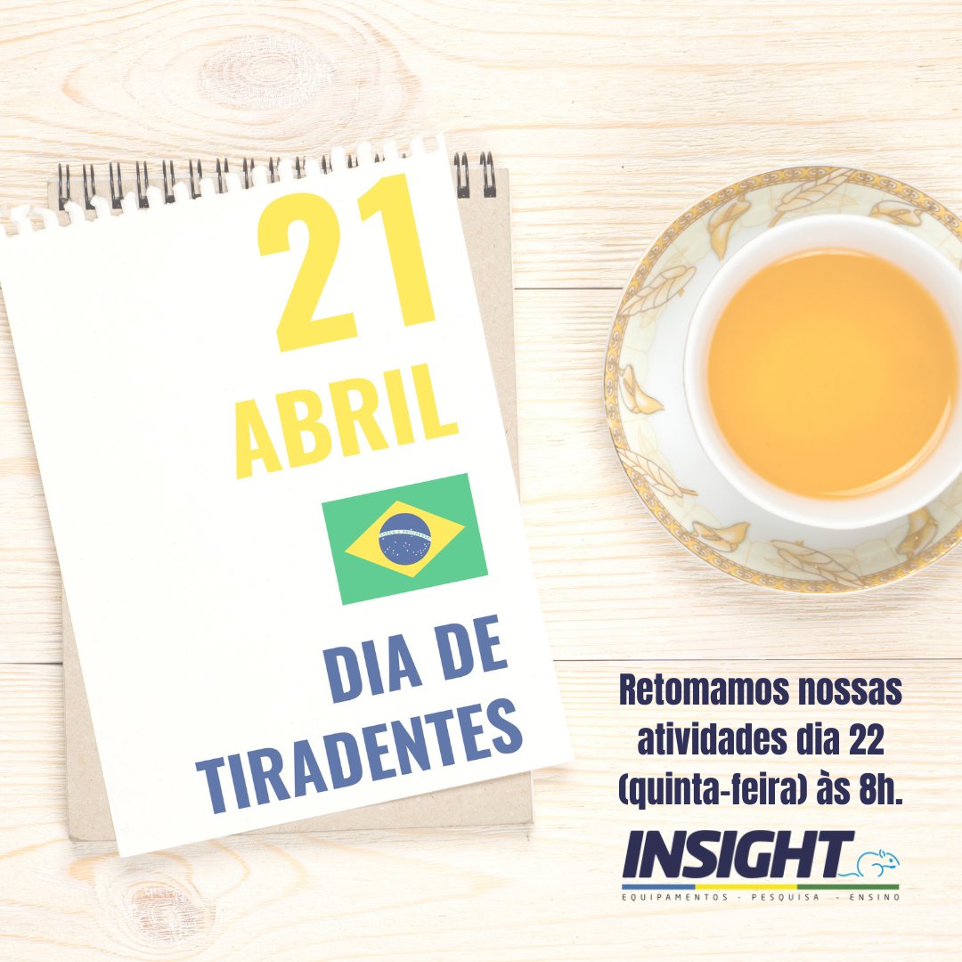 Insightltda's tweet image. 