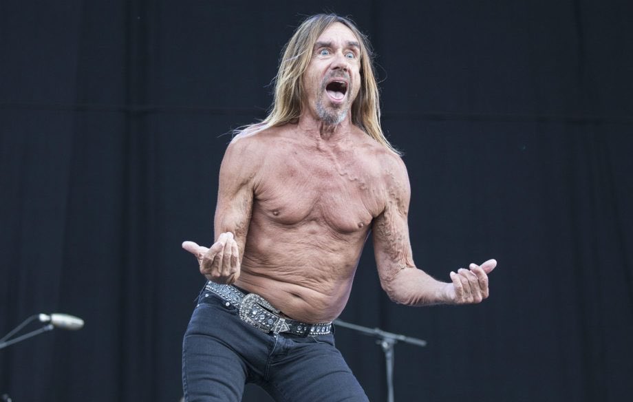 Happy 74th Birthday Iggy Pop  