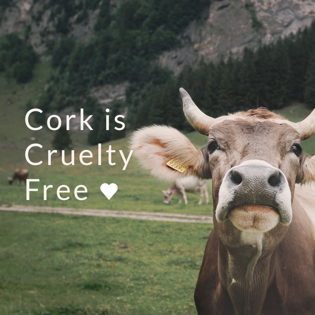 Explore best vegan fashion products with cruelty free leather

#sustainablefashion #ecofashion
#veganoutfit