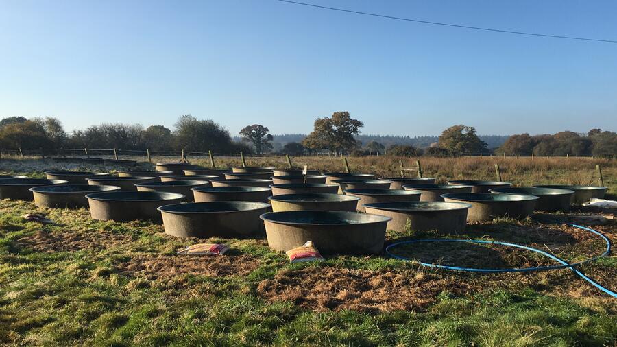 WildTroutTrust's tweet photo. New on the #WTTblog, Danielle Marchant outlines her PhD @QM_SBCS #plasticpollution impacts upon freshwater organisms using real world concentrations in experimental mesocosms @Plastic_EU
#phdchat
https://t.co/SOz5tHZZP9 https://t.co/mPyQm8adef
