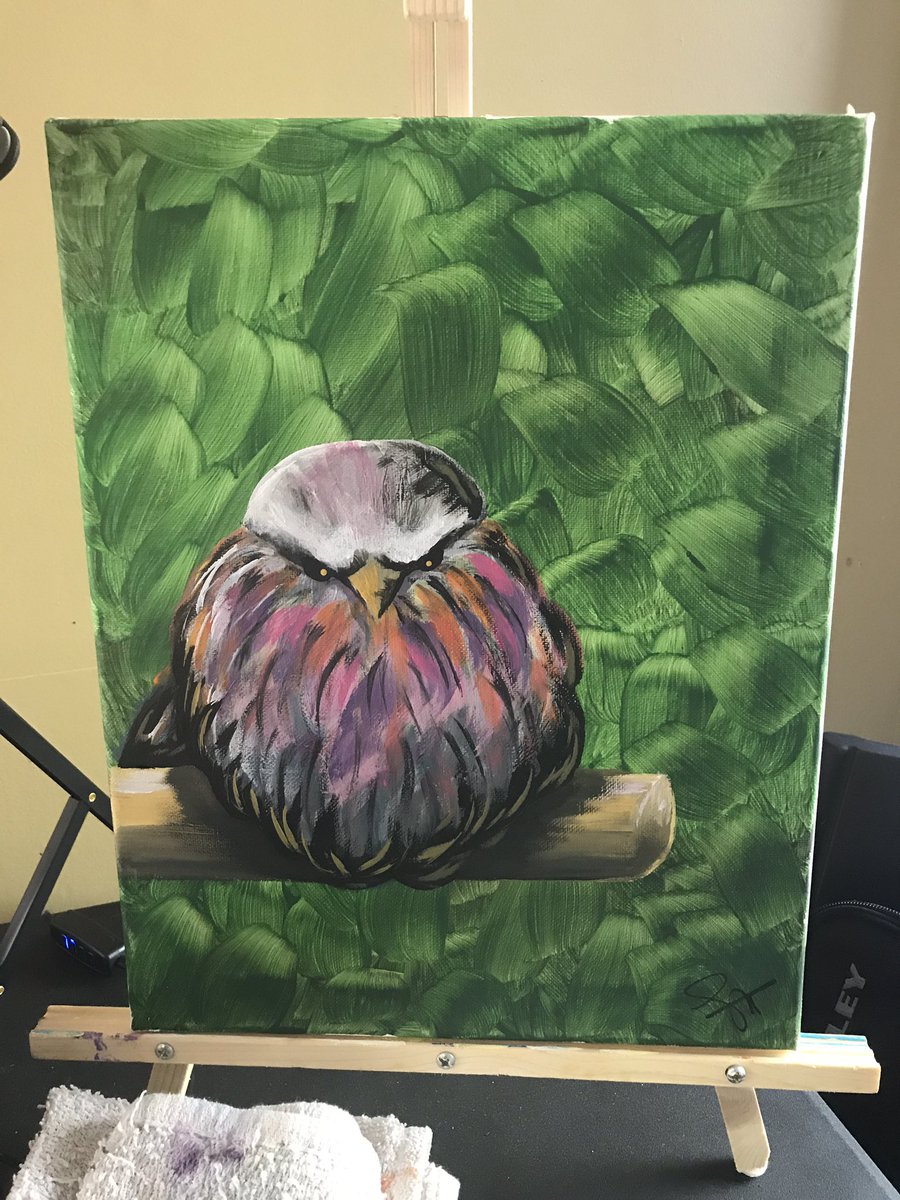 _scottclarke's tweet photo. Gave the bird to my students today in painting class ππ€£π€ͺ #zoomartclass #art #artinstructor https://t.co/9sDXKpACw0