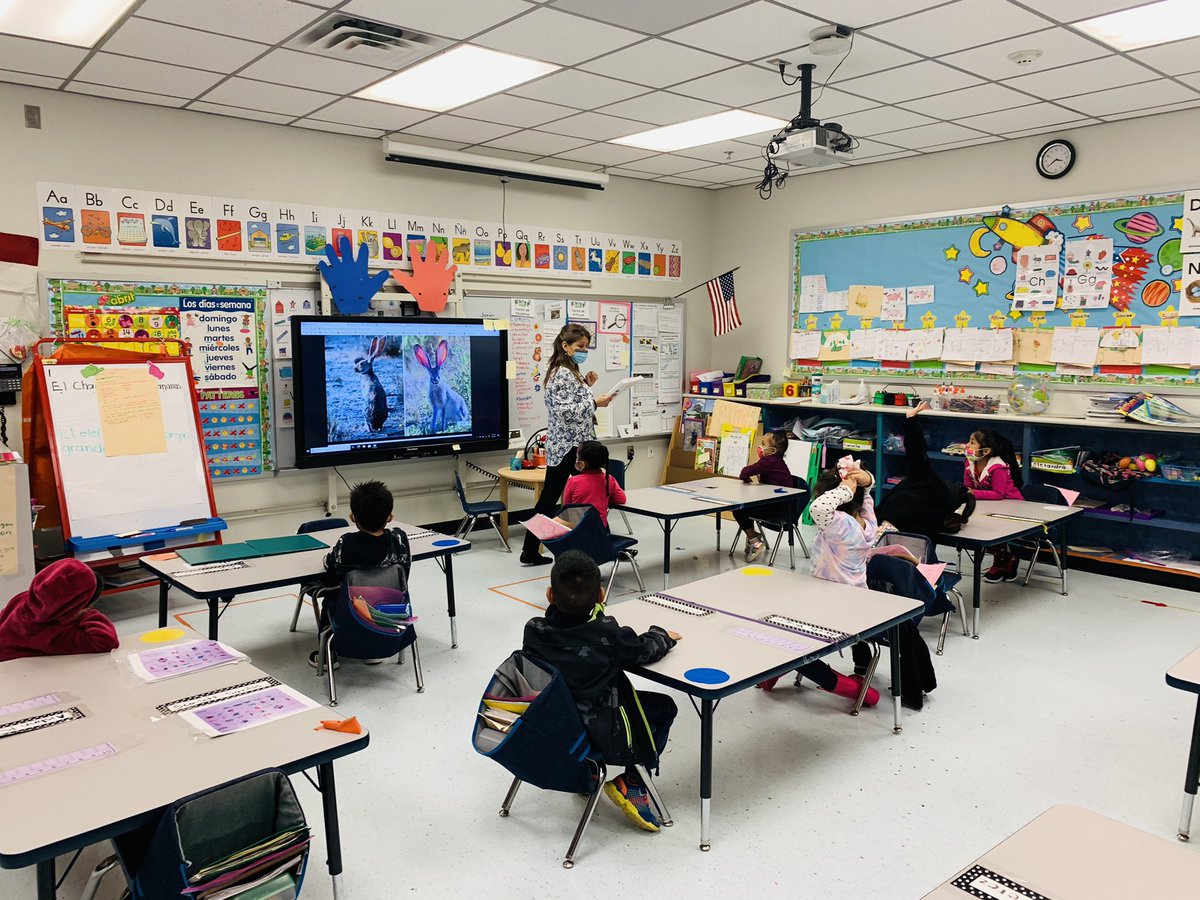 anitaperezABC's tweet photo. Our SLA lightning bugs are learning all about the woodland, pond, ocean and dessert habitat! π» πΈ π¦ π° #StrongerTogetherAtGL @GarciaLeza_AISD @PattyWillis1 @shinebrightPat @SarahSutter8 @JacquieKortz @AldineISD https://t.co/z6TVRFwEy7