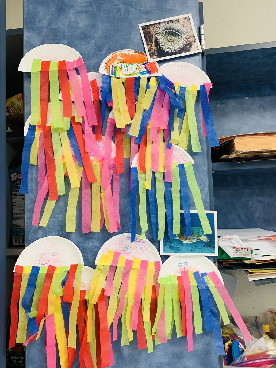 anitaperezABC's tweet photo. Our SLA lightning bugs are learning all about the woodland, pond, ocean and dessert habitat! π» πΈ π¦ π° #StrongerTogetherAtGL @GarciaLeza_AISD @PattyWillis1 @shinebrightPat @SarahSutter8 @JacquieKortz @AldineISD https://t.co/z6TVRFwEy7