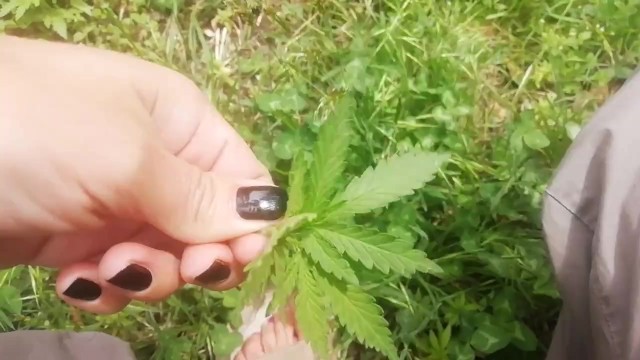 Brand new video up on PornhubModels! https://t.co/Uh65DhfUvt https://t.co/yXgH6XvgYE