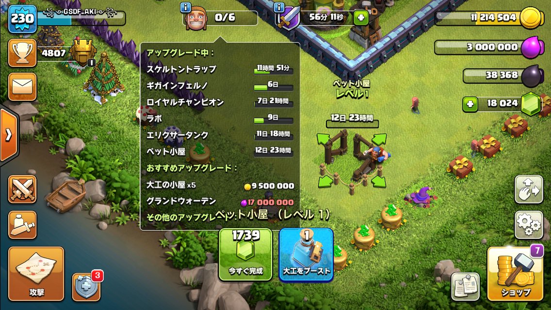 タウンホールレベル14になって色々と新しい事が増えてるみたいですね😅ペット小屋って？とりあえず建築開始しております！