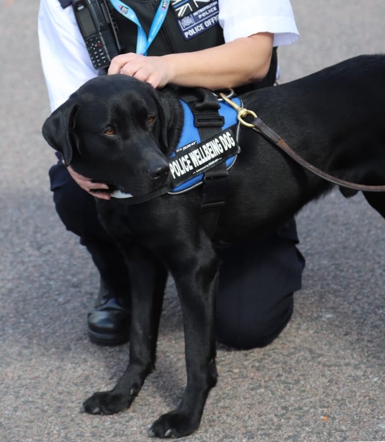 All Police Officers and Civilian members of staff @metpoliceuk can access and experience the amazing #healingpoweroffur 🐾🐾💙