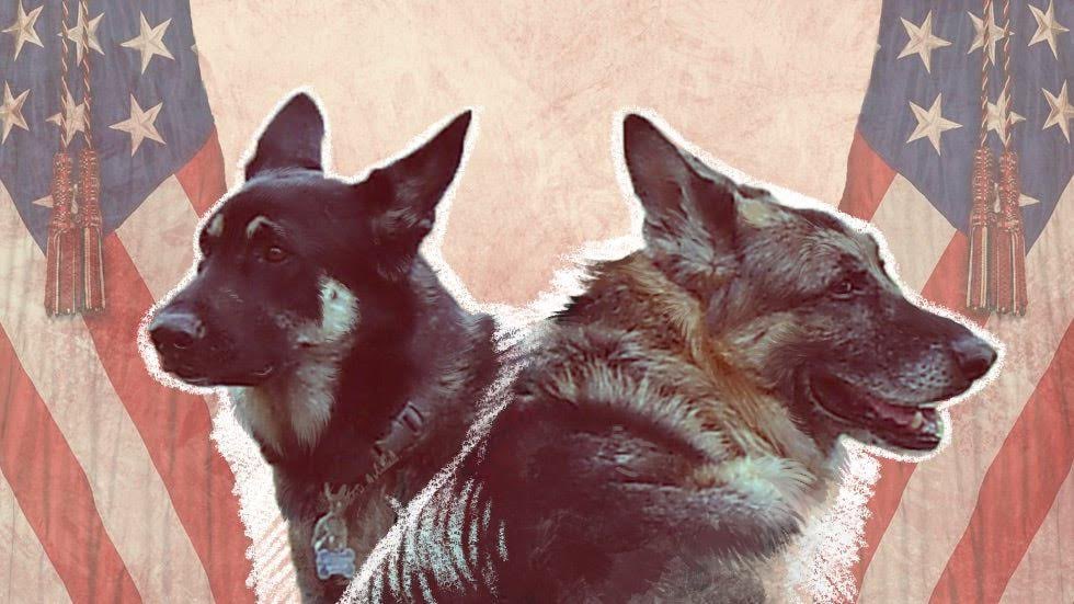 TheOvalPawffice's tweet photo. 🐾 A good day for justice, a bad day for racists. Awooof! #ChauvinTrial #GuiltyX3 https://t.co/EcrkJ9DZZ8