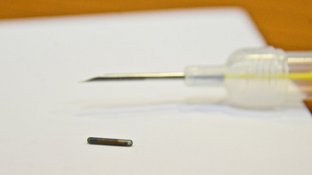 ADM_CuentaChile's tweet photo. 🔴Ministerio de Salud recuerda a todas las personas que recibieron vacuna para perros en Calama, exijan en segunda dosis la implantación de microchip con todos los datos de sus dueños en caso de extravío. Además serán desparasitados y esterilizados en el mismo centro de salud. https://t.co/cpz4gYpAgj
