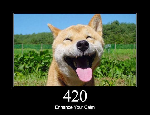Happy 420 #DOGE