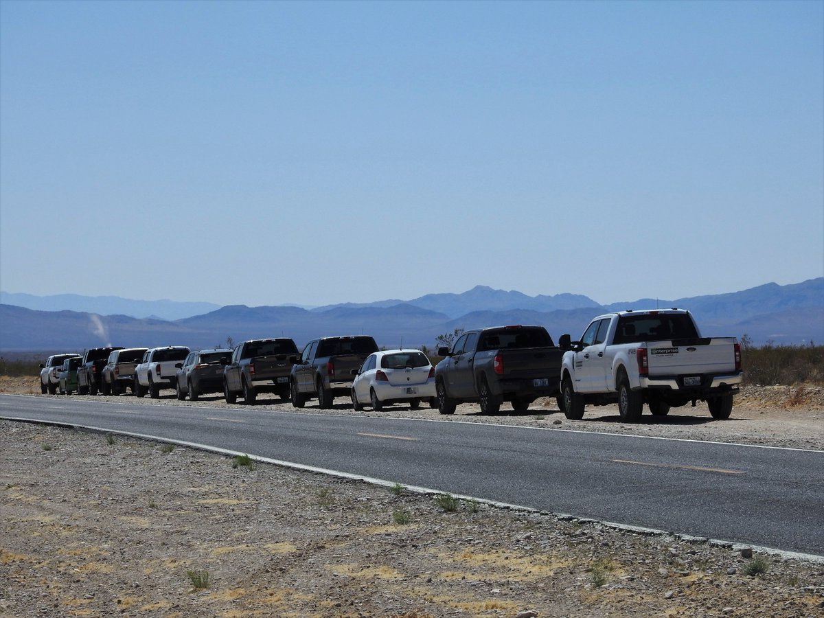 BasinRange's tweet photo. Fleet of consulting desert tortoise biologists are now digging up every animal burrow on the 3,000 acre Yellow Pine Solar Project. Nevada in hopes of relocating tortoises away from bulldozers. Many juveniles will be missed. Millions of other living organisms crushed. https://t.co/PSRe9rsBXp
