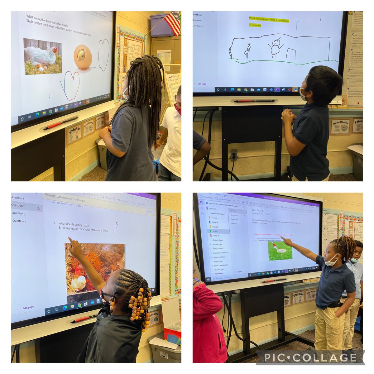 Oh goodness these <a href="/ClydeErwinElem/">CEEMS</a> 2nd grade Ss from A. Jones’ class love to present what they learned about Chickens! <a href="/epic4kids/">Epic for Kids</a> <a href="/OneNoteEDU/">OneNote Education</a> #EaglesSoar #OnslowDLT