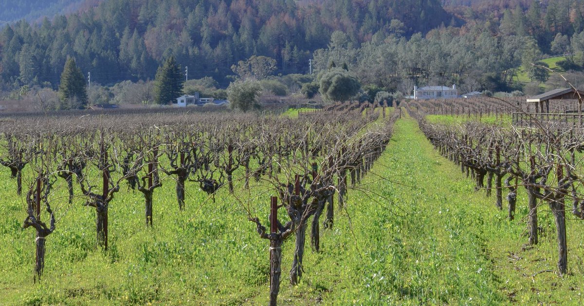 BialeVineyards's tweet photo. Ever wondered about our Founding Farmers Zinfandel?
This delicious Zinfandel is a tribute to the wine pioneers of Napa Valley who were the first to plant Zinfandel. Learn More: https://t.co/4oxgnZwp37 #legendaryzinvineyards #napazinfandel #bialevineyards https://t.co/r3RhX5qI3r