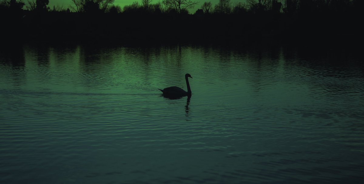 zo ๐ป (@zosphotos) on Twitter photo โAn evening by the lakeโ
10/10 on <a href="/hicetnunc2000/">hicetnunc2000</a> ๐
Go check it out
hicetnunc.xyz/objkt/39666 โAn evening by the lakeโ
10/10 on <a href="/hicetnunc2000/">hicetnunc2000</a> ๐
Go check it out
hicetnunc.xyz/objkt/39666