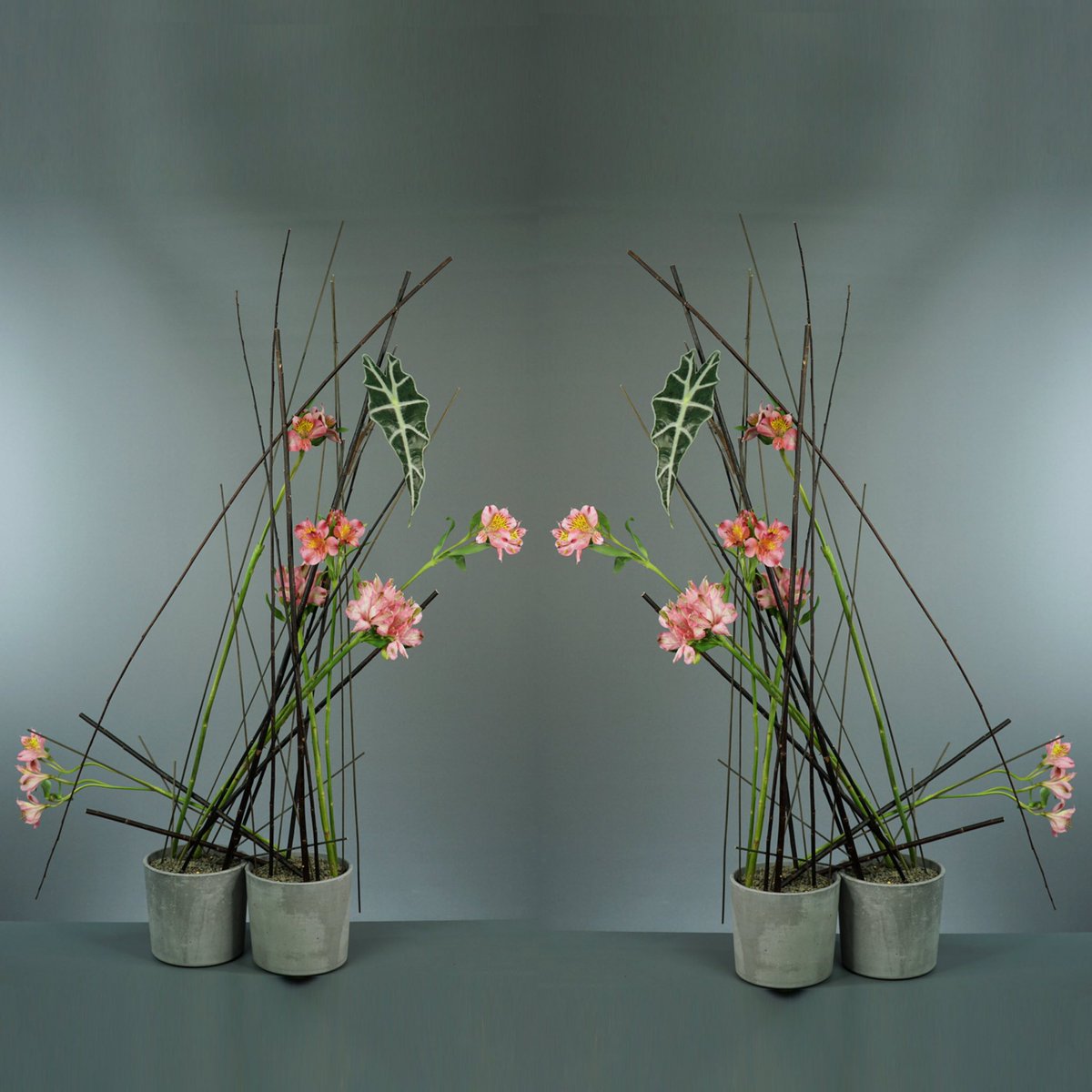 MarkPampling's tweet photo. And yet another work with Alstroemeria - again for the Design Discipline online course by @flower.thinking. Learning more using less.
.
#overlappingdesign
#alstroemeria
#alocasia
#salix
#designdiscipline
#flowerthinking
#floraldesign #masterflorist #floraldesignexpert https://t.co/aDa8jIYds0