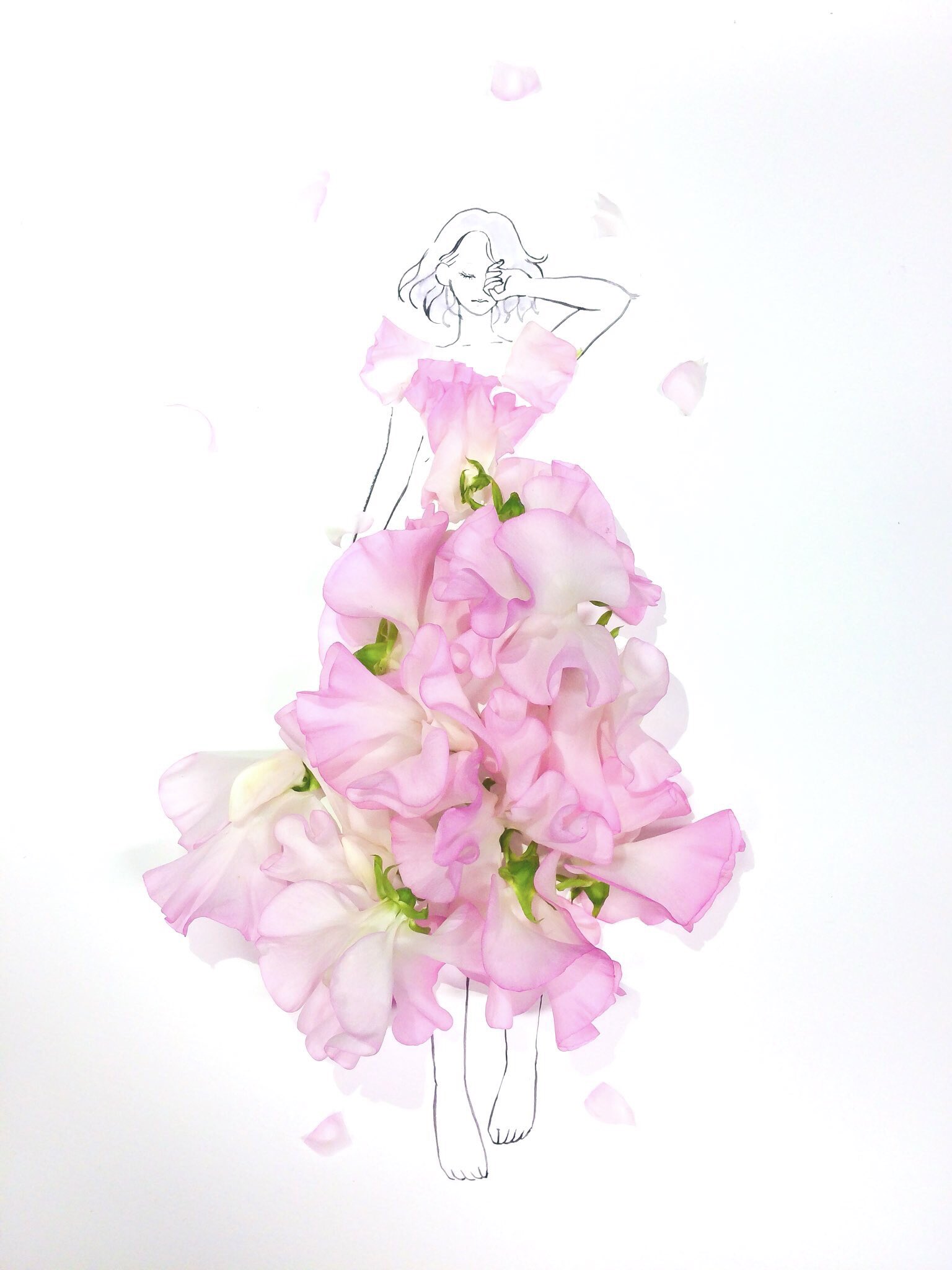 تويتر はな言葉 葉菜桜花子 新刊発売 على تويتر きょう4月21日は ローマの創建記念日 グラウネーション デー オーベルジュの日 川根茶の日 民放の日 誕生花はスイートピー 花言葉 門出 やさしい思い出 ほのかな喜び T Co 7thu0bhlrn