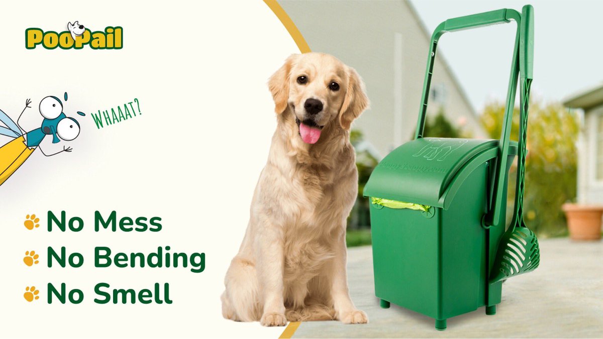 Nick Apparicio tweet media