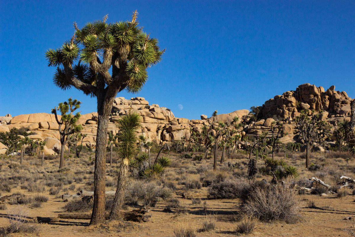 AE Design tweet media