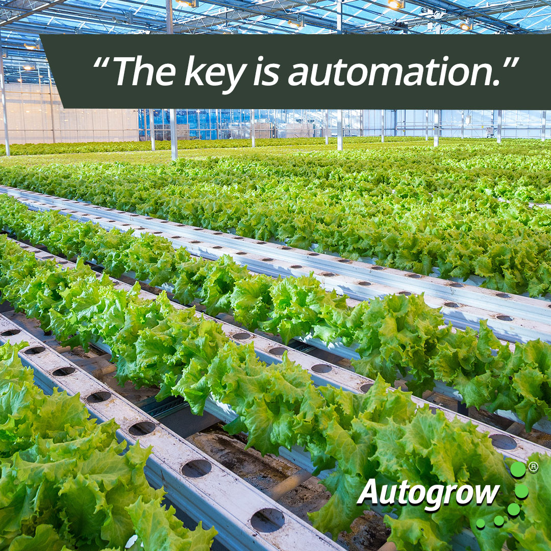 For growers looking to optimize, modernize and grow their business for sustainable crop production - the key is automation. Learn more at hubs.ly/H0LFy6x0

#automation #agtech #greenhouse #hydroponics #grower #sustainability #horticulture #agriculture #farming