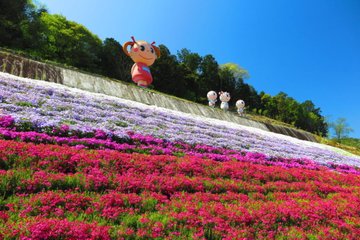 22年 関西でおすすめの芝桜の名所4選 見頃や開花情報 アクセスなどを紹介 ニシタビ