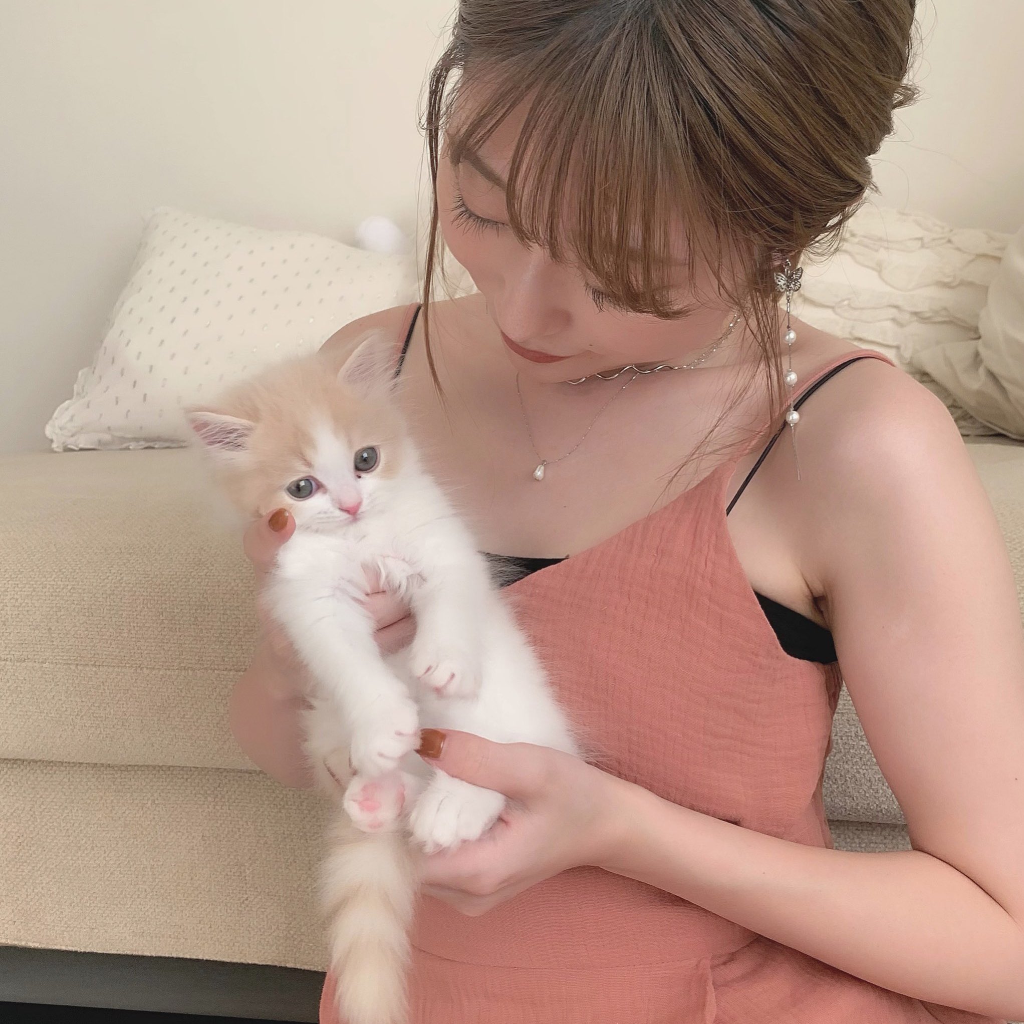 こなつくん 大きい子猫 左 生後2ヶ月 右 生後8ヶ月 猫 T Co J1cnq2zoix Twitter