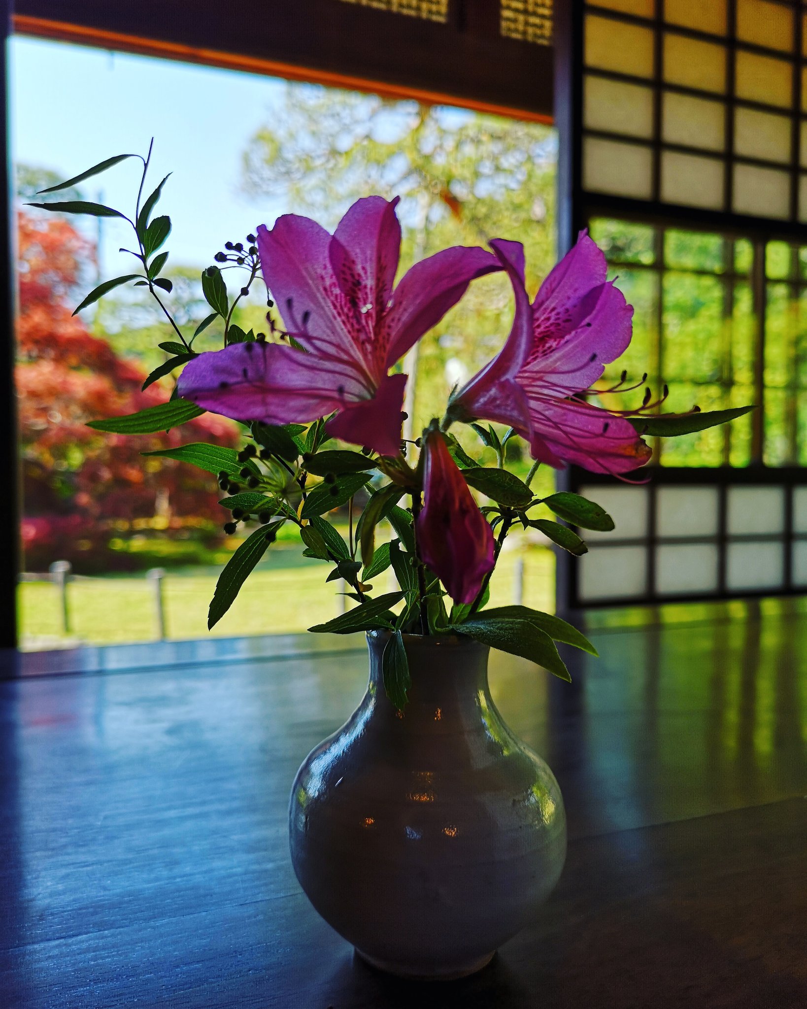 投げ入れ花 Twitter Search Twitter