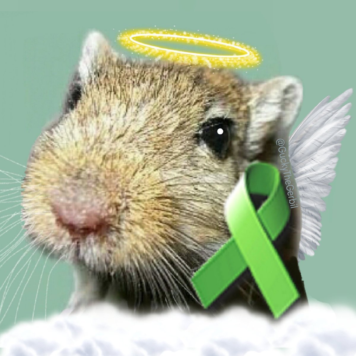 <a href="/RJ85Avro/">AVGυcкy</a> <a href="/Oop2Alley/">Alley Oop2</a> @Flora34921110 <a href="/Caretaker_Cat/">EthicsMatters</a> <a href="/RobRobbEdwards/">Robb Edwards 🌱</a> @20Leen20 <a href="/GMahilani/">GailMahilani</a> <a href="/jacqui_eckert/">Jacqui  Eckert</a> <a href="/StarSuperfan42/">🥰💐🌺🌹👛🌹Jenny🥳💐🧚🏻‍♀️🌹👛🌺🌹</a> @KatyFaustov <a href="/rissalipstick/">lipstick</a> <a href="/literatt2/">Kamil Olivier 🇵🇱</a> <a href="/Nenagh9/">Nenagh-Eye</a> <a href="/planetags/">PlaneTags ✈️🏷️</a> <a href="/animallover1408/">Dorothy</a> <a href="/Peacevoter/">Kathy Harrison🇺🇸</a> <a href="/C_Nico70/">Nico 🇺🇸</a> <a href="/Catlord568/">Catherine Lord</a> <a href="/Happy_Pit/">Happy Pit Keller</a> <a href="/LollyMadonna/">Lolly🌹</a> <a href="/suzikitten1/">sue Harcombe</a> <a href="/ONELONEDOLPHIN/">Dr. Di Chadwell, A&P, Hon.C.TDNN, Ret.</a> <a href="/LadyBruce1/">Audrey Farrelly</a> Dear #GuckyFriends &amp; #TheMirrorArmy &amp; #Anipals

Although I don't want to upset anyone my account is censored to post "sensitive media" since ages.
I don't. But this censorship is active ☹

Using my #AVGeek account mainly now.
Please get in touch &amp; tell others 😘
Your #AeroGerbil