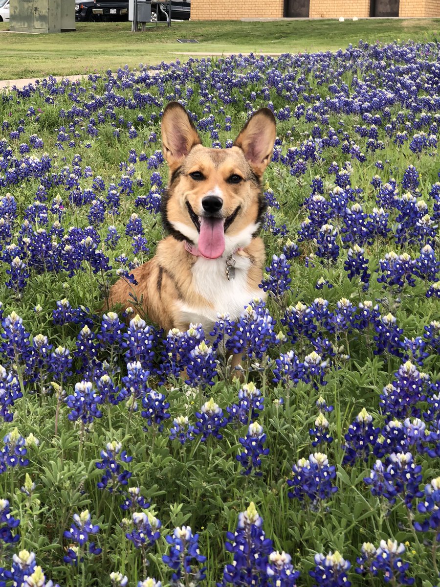 Darling 🦕🐘 tweet media