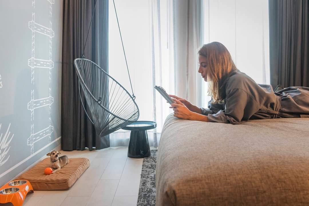 We are proud to be Pet Friendly! 🐶 Have incredible moments with your pet at Canopy by Hilton, Cancún La Isla. 

Send an inbox for more information 👈