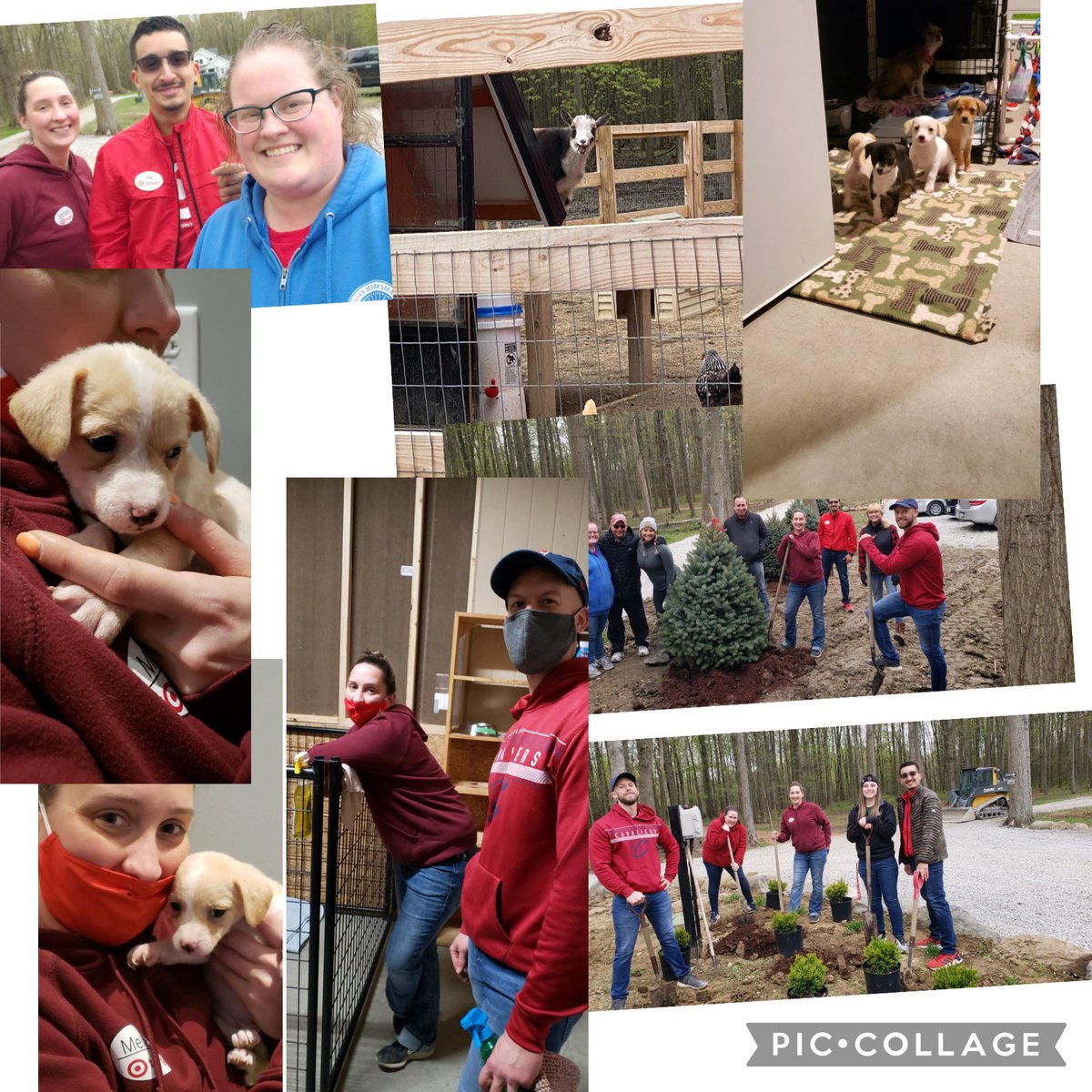 Melanie Lukacz (@melanielukacz88) on Twitter photo Nothing like a little Volunteering with old friends and new.
#MultipleBreedRescue #Volunteer #LifelongTargetFriends #T2159T2351TeamUp <a href="/amy_tgt/">Amy Nickoli</a> <a href="/ArynDavlin/">Aryn Davlin</a> <a href="/JosefromTGT/">Jose Marin</a> Nothing like a little Volunteering with old friends and new.
#MultipleBreedRescue #Volunteer #LifelongTargetFriends #T2159T2351TeamUp <a href="/amy_tgt/">Amy Nickoli</a> <a href="/ArynDavlin/">Aryn Davlin</a> <a href="/JosefromTGT/">Jose Marin</a>