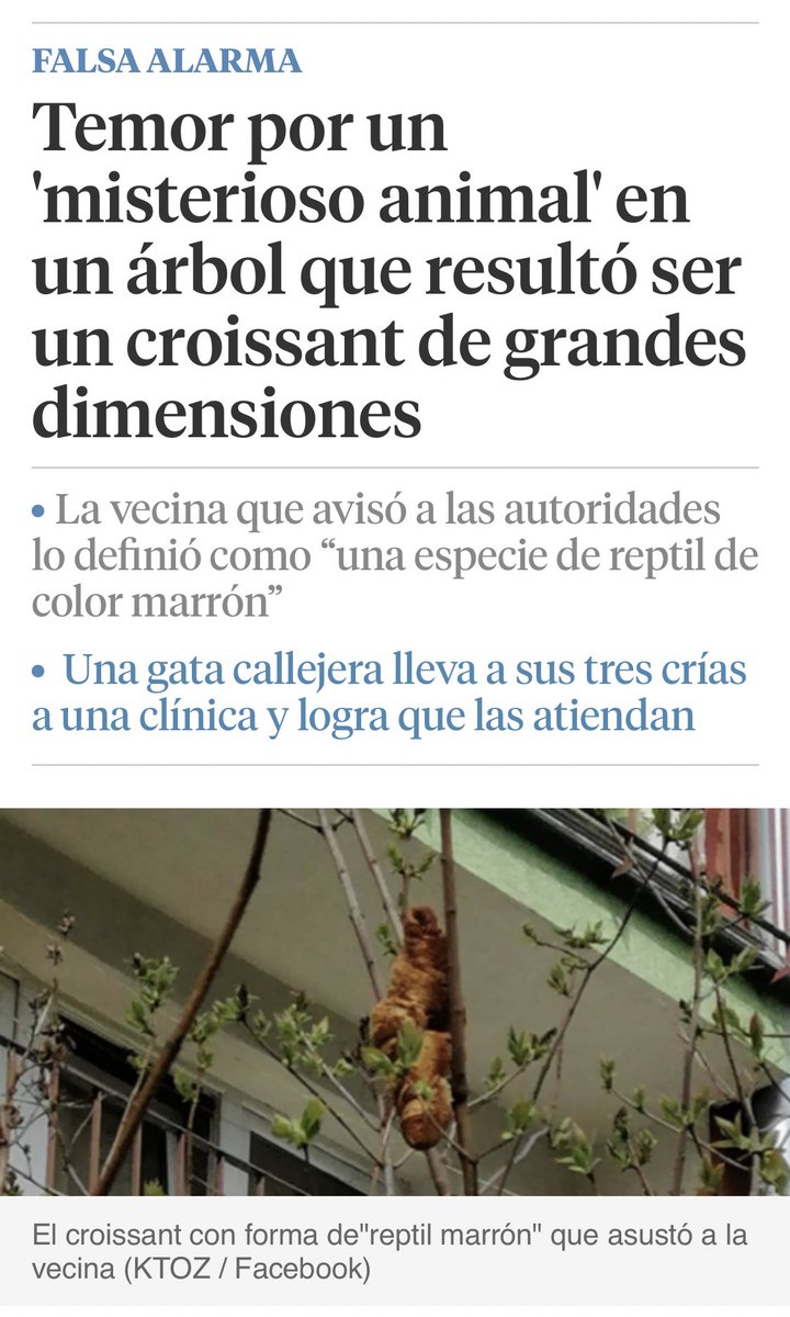 Obsesionado con esta noticia.
🥐🦎