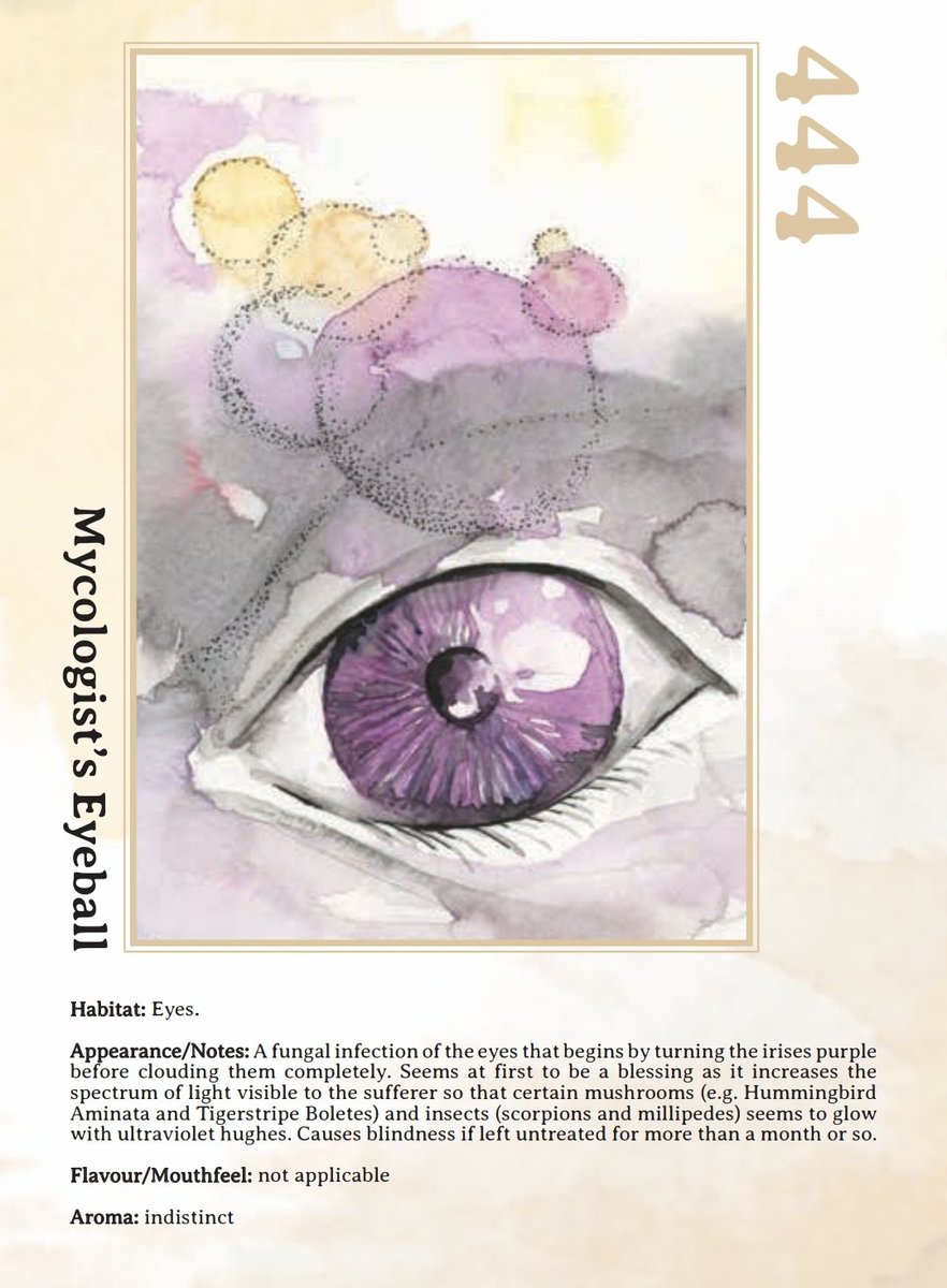 Linnea - Cat Lady of the Ultraviolet Grasslands tweet media