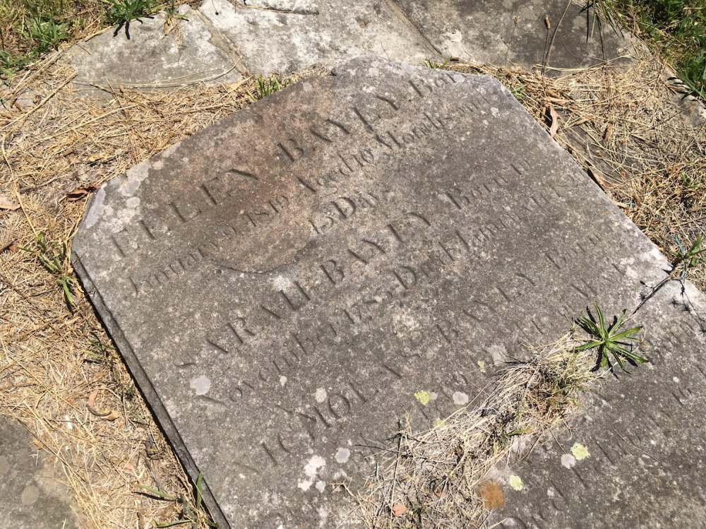 In February 1809, a man was tried and imprisoned for calling this guy a "rogue." So, at the risk of a law suit (😉) I offer you the latest "Rogue":
NICHOLAS BAYLY: THE ANTI-SETTLER
By @JamesHDunk, supported by <a href="/Create_NSW/">Create NSW</a>: stjohnsonline.org/bio/nicholas-b…