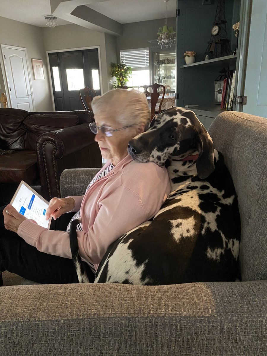 dejong_mustard's tweet photo. Maisy loves when grandma comes to visit 🥺❤️ https://t.co/MdL4o195Wd