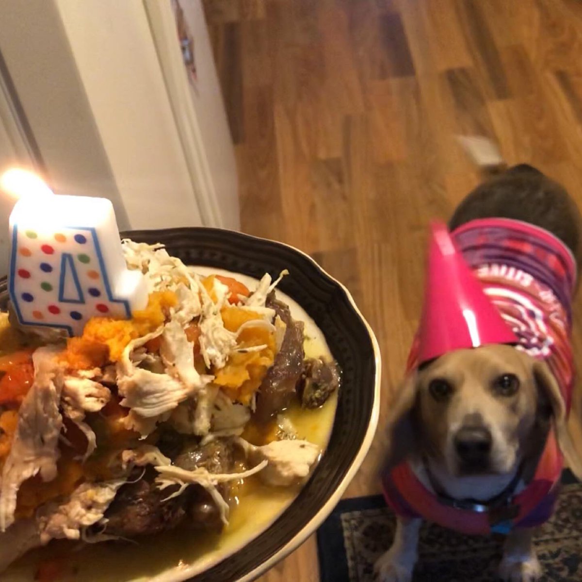 ElectroDance Sphere by ExtremeCO (@dancesims2) on Twitter photo it’s my dogs birthday it’s my dogs birthday