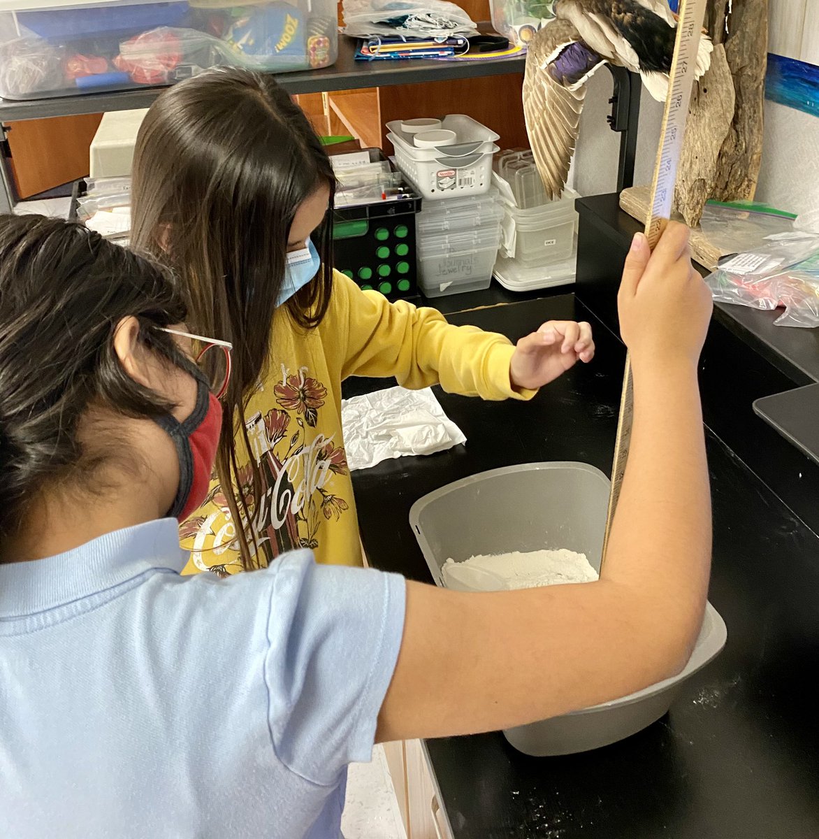 MrsSWheeler's tweet photo. Testing moon crater formation.  #5thgradescience #INSPIRE  @AISDScience https://t.co/8bzxTAowD4