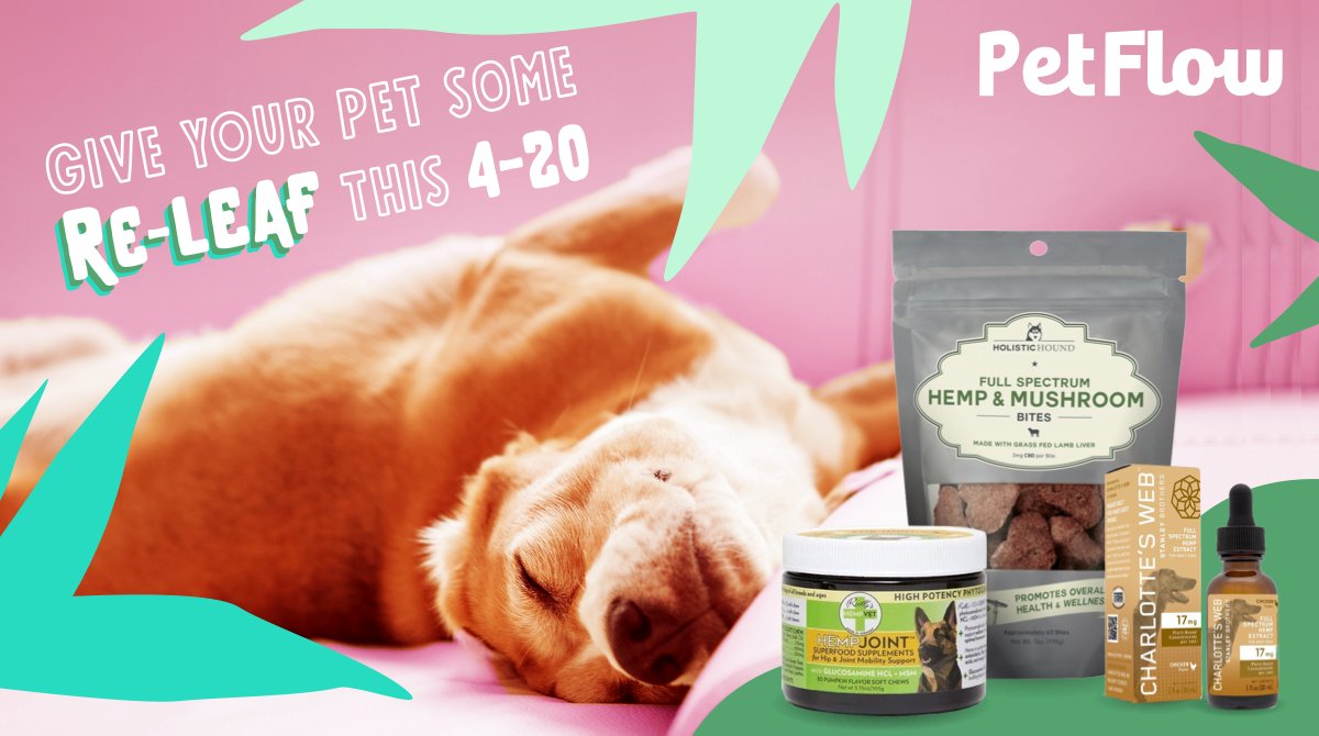 Today, we celebrate that sweet Meowy Jane... Happy #420 to our pet parents and their furry friends! 🌿 Give your pet some sweet re-leaf with CBD and hemp products at PetFlow. bit.ly/3eloYpE
