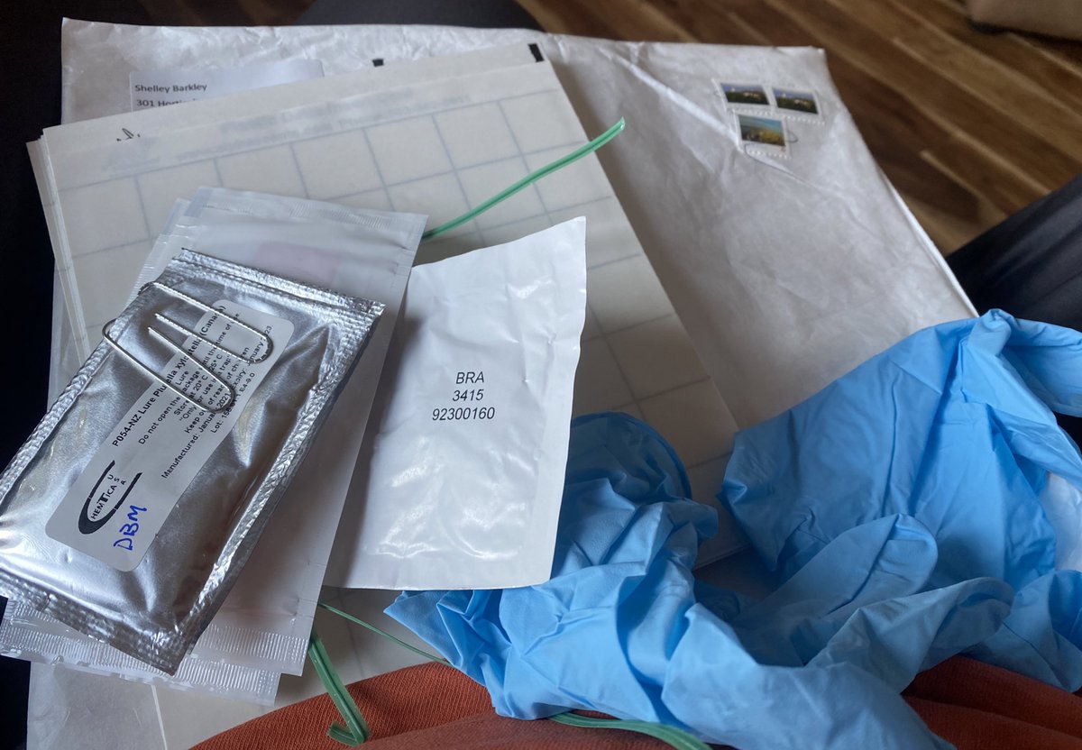 WheatGeerJJ's tweet image. Whoohoo! The #bugstuff arrived!
#abbugchat 
#abbugs21 
@Megarhyssa